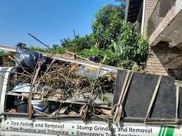 Best Carpet Removal and Disposal  in Yalaha, FL